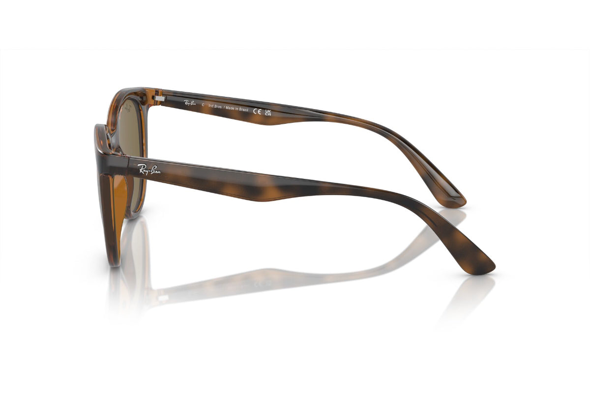 Ray-Ban Lentes de Sol